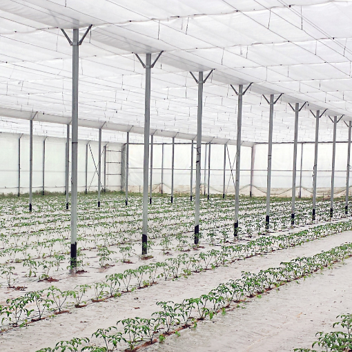 Poza cu FOLIE TERMICA perforata, tratata UV și IR 4202