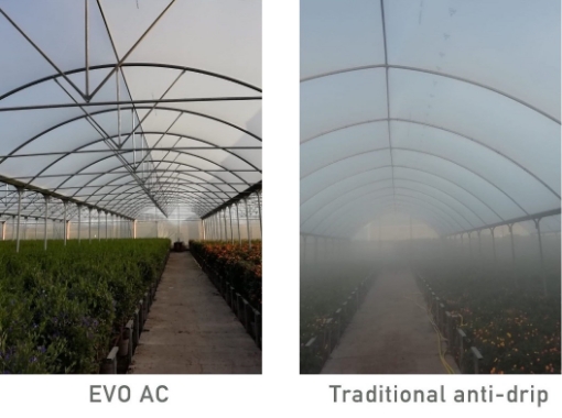 Poza cu FOLIE PLASTIKA KRITIS IN 8 STRATURI EVO 7504 AC, CRYSTAL CLEAR