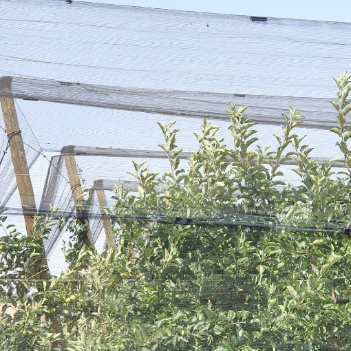 Poza cu Plasa Anti Grindina GeoAura46