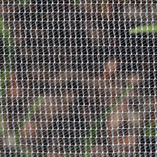 Poza cu Plasa  Anti Insecte GeoInsect20