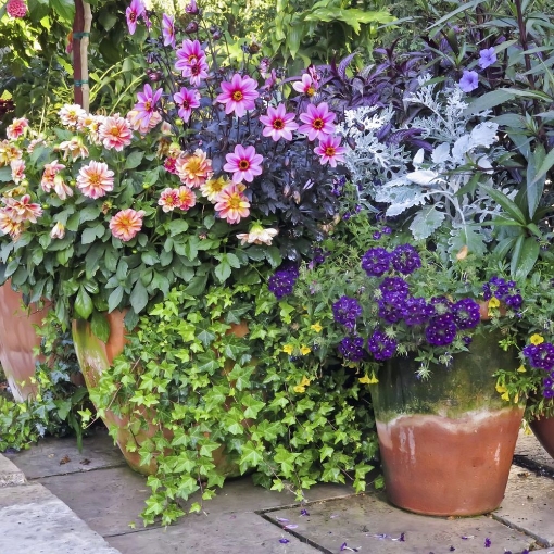 Poza cu Kit irigare pentru 15 ghivece